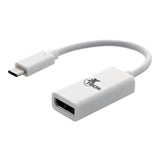 Xtech USB Type-C (M) to Display Port (F) Adapter (XTC-555)
