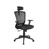 Avignon Executive Office Chair (XTF-OC414)