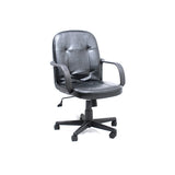 Executive Office Chair with Armrests (AM160GEN27)